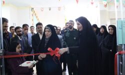 نمایشگاه دستاوردهای هنرمندان شهرستان سلسله افتتاح شد+تصاویر