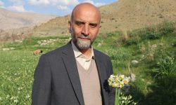 تولید ۱۸ میلیون شاخه گل نرگس در لرستان