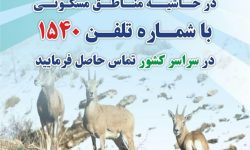 اطلاعیه محیط زیست لرستان در صورت مشاهده حیات وحش