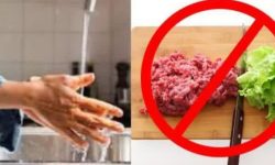 پیشگیری از آلودگی متقاطع بین مواد غذایی