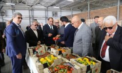 بازدید تجار عراقی و تاجیکستانی از کشت و صنعت لرستان+ تصاویر