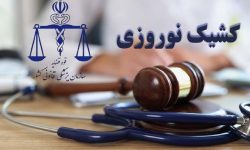 فعالیت کشیک پزشکی قانونی لرستان در ایام نوروز