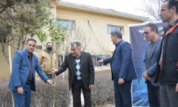 کاشت نهال به یاد شهدای شرکت مخابرات منطقه لرستان