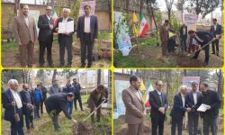 تجلیل از خدمات ارزنده پدر بلوط ایران