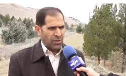 آغاز یک انقلاب سبز با کاشت یک میلیارد درخت در کشور