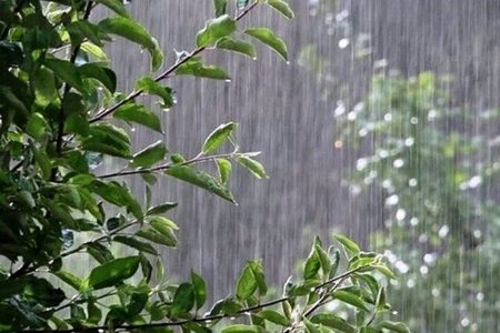 نورآباد رکورد دار بیشترین بارندگی در لرستان