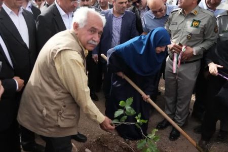 حفاظت از جنگل‌های بلوط بویژه در لرستان در دستور کار است
