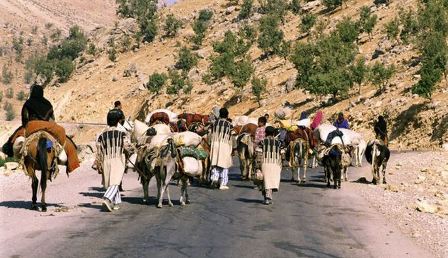 ۱۱ هزار و ۲۰۰ خانوار عشایری لرستان کوچ رو هستند