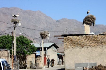 اختصاص اعتبار ملی برای روستای گردشگری «لک‌لک‌ها»