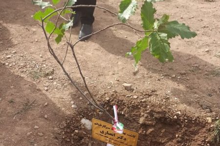 آغاز طرح تحول شهری با کاشت نهال در خرم‌آباد
