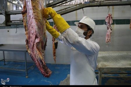 گوشت قربانی را تا ۲۴ ساعت نخورید
