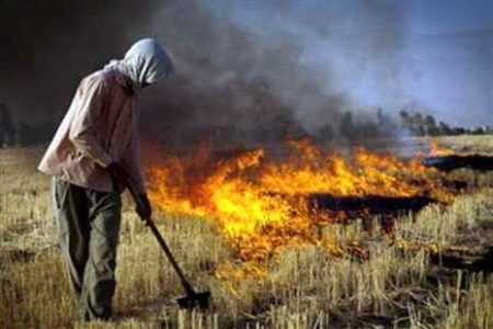 ممنوعیت سوزاندن کاه و کلش محصولات کشاورزی