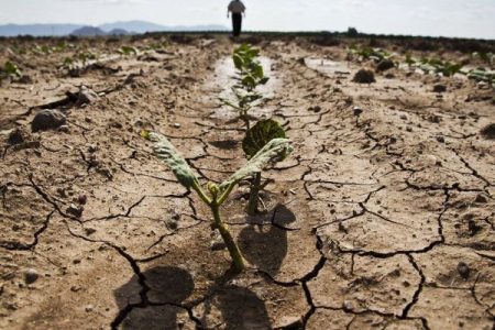 ۶ شهر لرستان در معرض خشکسالی؛کشاورزان کشت های بهاره و پاییزه را مدیریت کنند