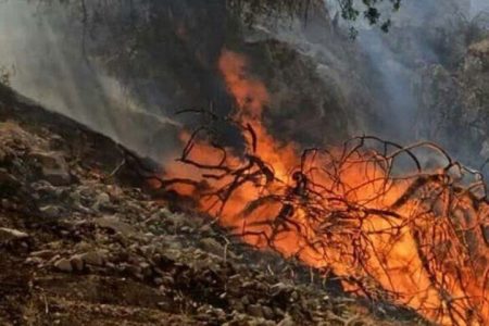 جنگل‌های پلدختر همچنان در آتش می‌سوزند