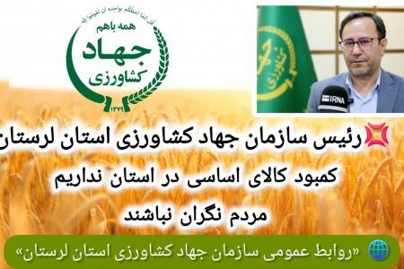 ذخیره ۷۰ هزار تن اقلام اساسی در لرستان/ پرهیز از خریدهای هیجانی