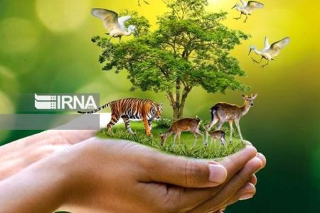 انجمن یاران سبز خواستار حفاظت از حیوانات آسیب‌دیده شد