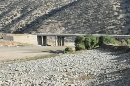 سونامی برنج کاری روی سرشاخه های «دِز»/ بهره کشی های آبی، جان «کَشکان» را گرفت