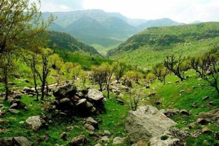 لرستان زیستگاه بکر طبیعت ایران؛۱۲ درصد جنگل‌های کشور در استان