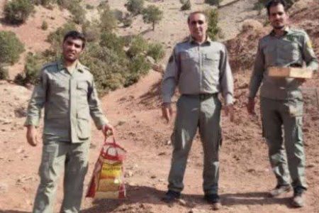 دستگیری متخلفان زنده گیری پرندگان زینتی در دلفان