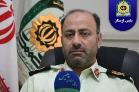 توقیف محموله گل های تزئینی فاقد مجوز در پلدختر
