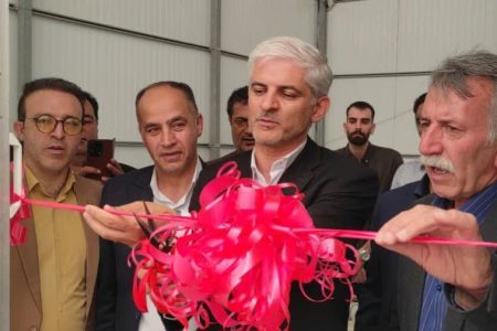 افتتاح گلخانه گل رز در ازنا