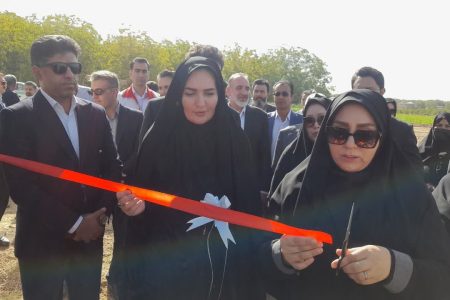 افتتاح ۲ طرح پرواربندی دام در شهرستان سلسله