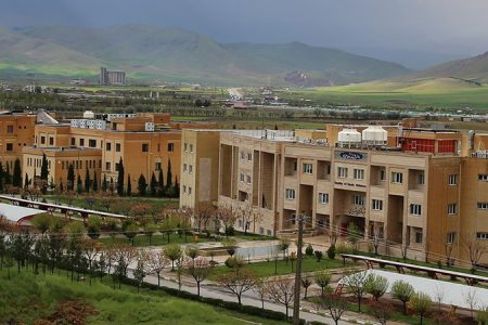 درخشش جهانی دانشگاه لرستان در شیمی آلی