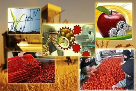 ضرورت حمایت از سرمایه گذاران برای توسعه صنایع تبدیلی در لرستان