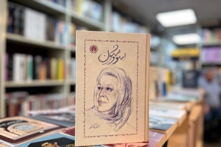 رمان سووشون «زخم مشترک ملت ایران» را «برچسب قومی» نکرد/ انتخاب اشتباه نشانه‌های زبانی