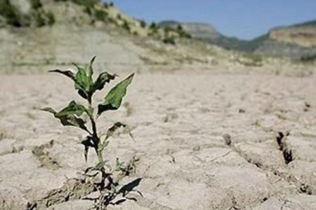خسارت ۲ هزار میلیاردی خشک‌سالی به کشاورزی بروجرد