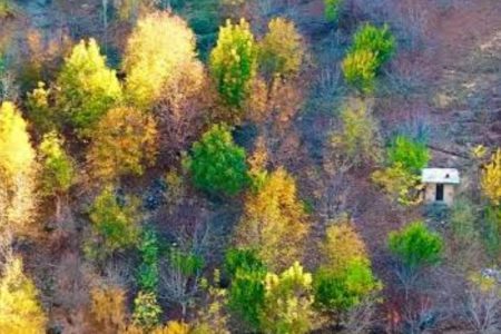 روستای درسون،نگین جنگل‌های سپیددشت