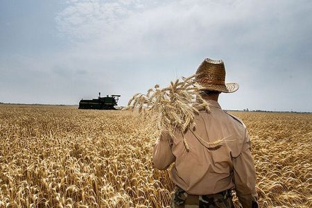 ۹۵ درصد مطالبات گندم‌کاران لرستان پرداخت شد
