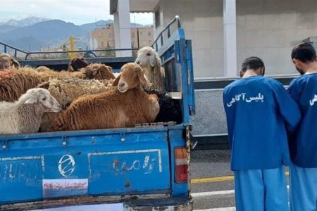 دستگیری سارقان احشام در خرم آباد