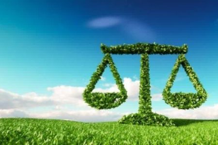 پاک سازی پسماند‌های تالاب‌های پلدختر به جای حبس