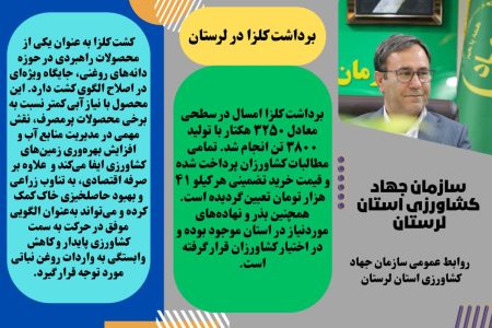 ۳۸۰۰ تن کلزا از مزارع لرستان برداشت شد