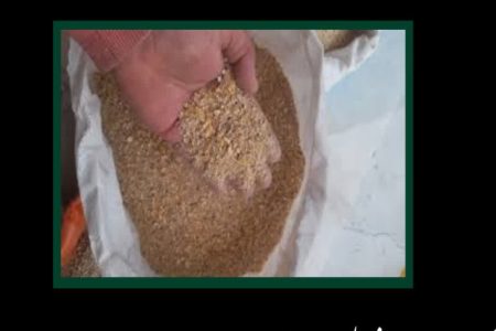کشف ۵ تن خوراک طیور بدون مجوز در الیگودرز