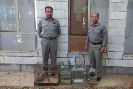 دستگیری فروشندگان غیرمجاز پرندگان زینتی در بروجرد