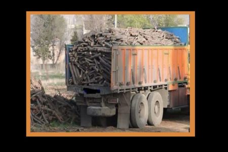 کشف ۱۰ تن چوب فاقد مجوز درالیگودرز
