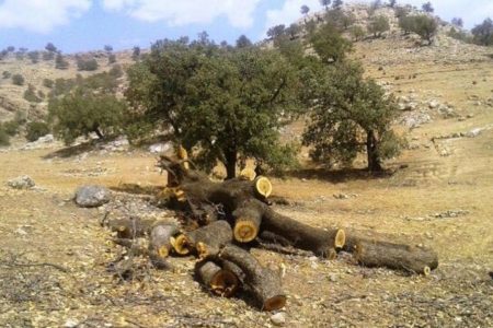 دستور صریح دادستان لرستان برای برخورد با قاچاقچیان زغال