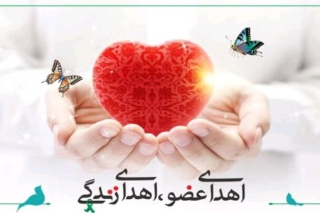 بانوی بروجردی نجات‌بخش چند بیمار شد
