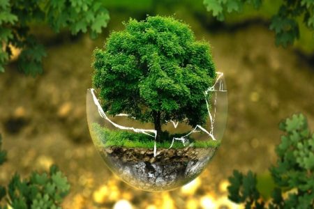همکاری میراث و محیط زیست لرستان برای توسعه گردشگری پایدار در مناطق حفاظت‌شده