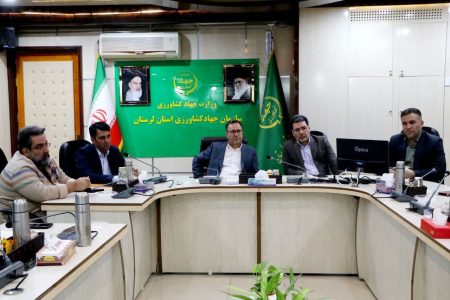 تثبیت ۶ هزار هکتار اراضی غیر ملی در لرستان