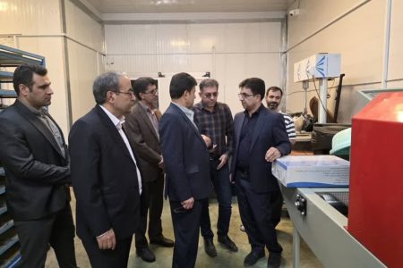 حمایت دیوان محاسبات لرستان از تولیدکنندگان بخش شیلات