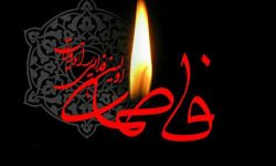 حضرت زهرا (س) نماد بیبدیل ولایتمداری در اسلام
