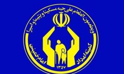 معرفی کمیته امداد به عنوان دستگاه‌ برتر در کیفیت آمارهای رسمی