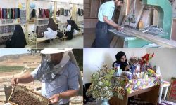 بسته تشویقی کمیته امداد لرستان برای کارفرمایان