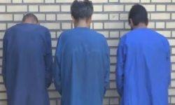 دستگیری باند کلاهبرداری با وعده وام فوری در کوهدشت