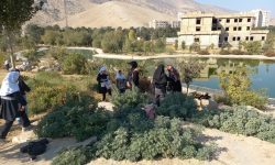 باغ گیاهشناسی زاگرس ظرفیتی برای توسعه باغات در لرستان