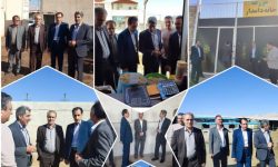 تبدیل خانه دامدار کوهدشت به پایلوت نوآوری در تغذیه دام لرستان
