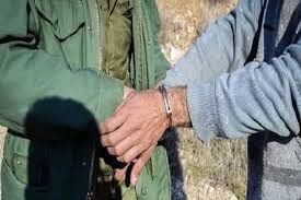 دستگیری شکارچیان چهار رأس گراز در پلدختر